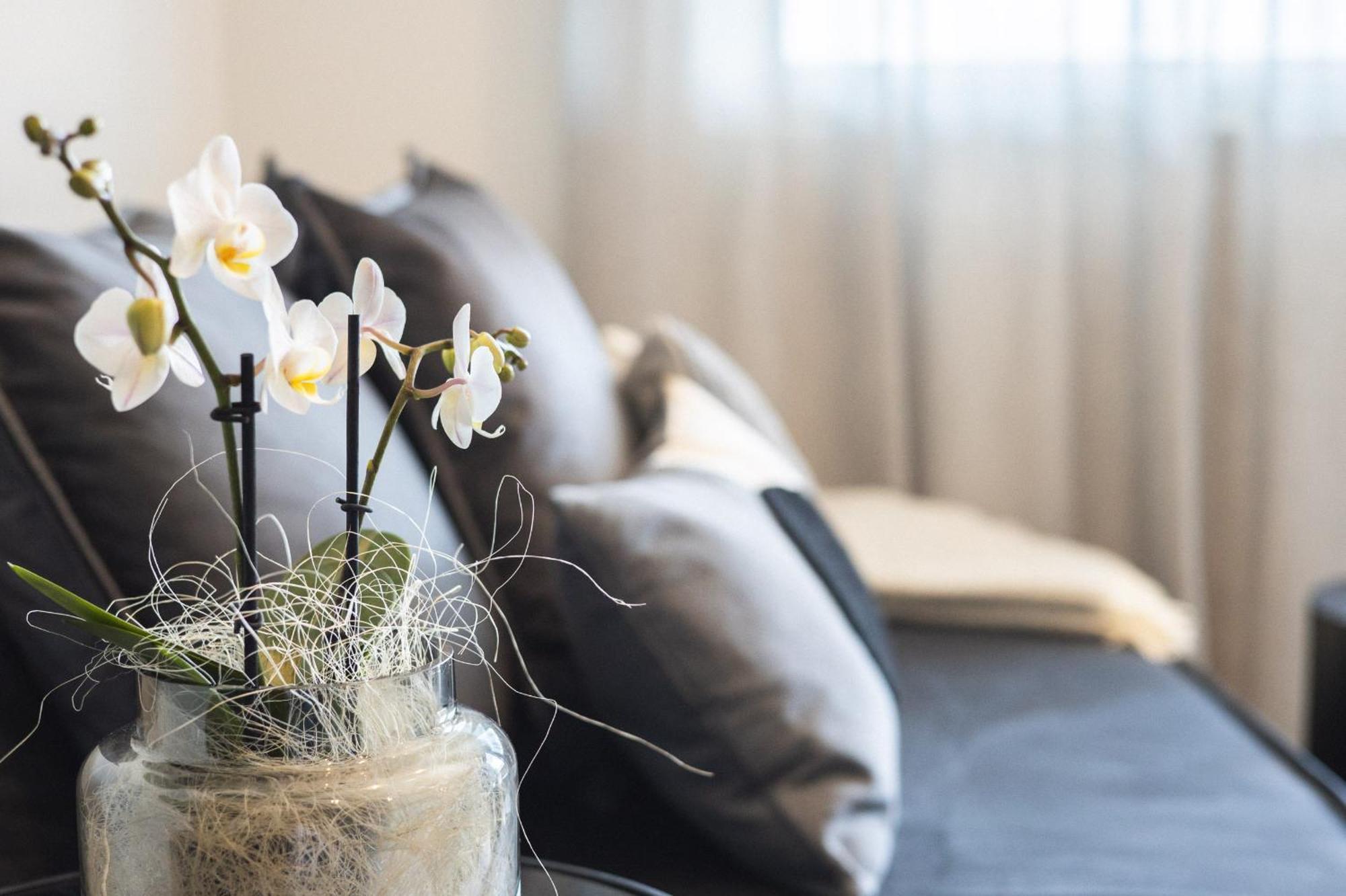 Luxe Vista City Apartments Algund المظهر الخارجي الصورة